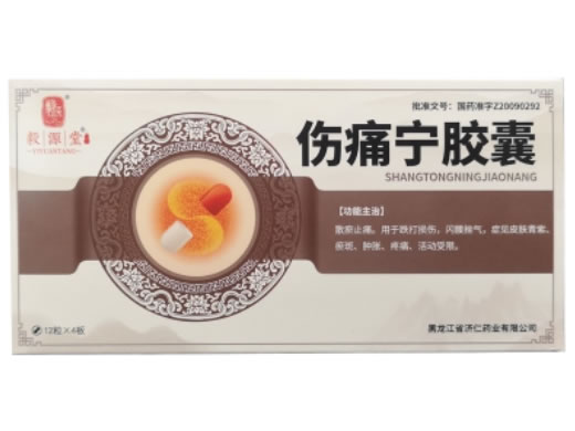 伤痛宁胶囊