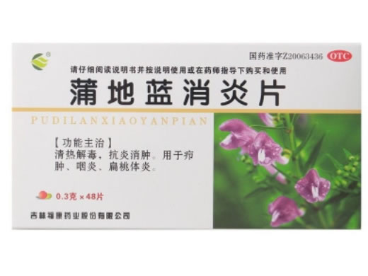 蒲地蓝消炎片招商代理 48片 福康药业