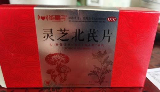 灵芝北芪片