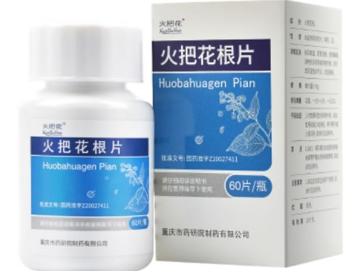 火把花火把花根片招商代理 60片