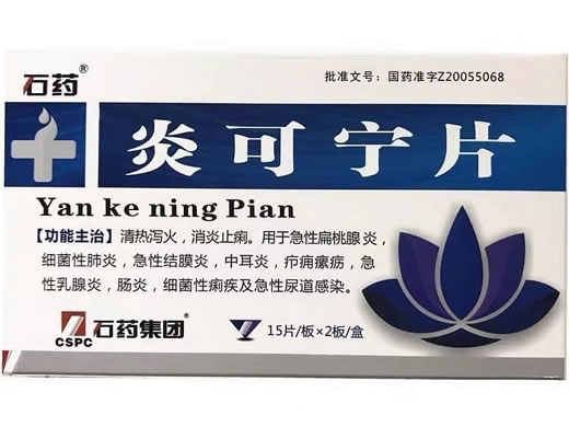 石药炎可宁片招商代理 30片