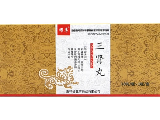 耀尊三肾丸招商代理 10丸 耀尊