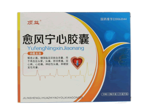 愈风宁心胶囊
