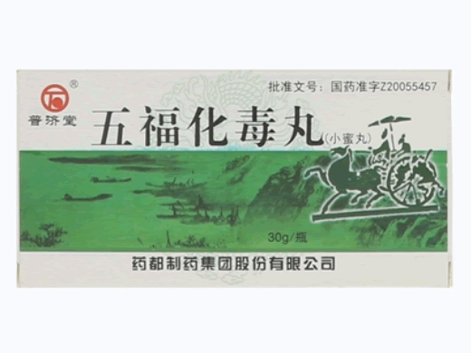 普济堂五福化毒丸招商代理 30g 药都制药