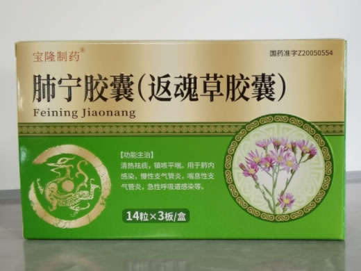 宝隆制药肺宁胶囊(返魂草胶囊)招商代理 42粒