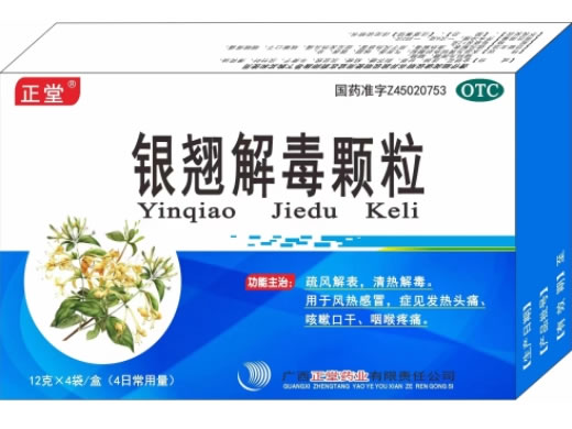 正堂银翘解毒颗粒招商代理 4袋 正堂