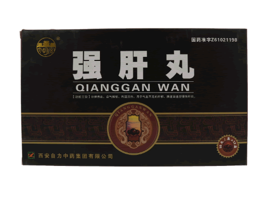 大明宫强肝丸招商代理 12盒