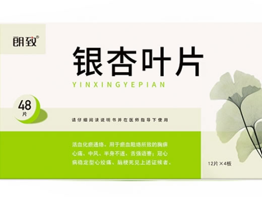 朗致银杏叶片招商代理 48片