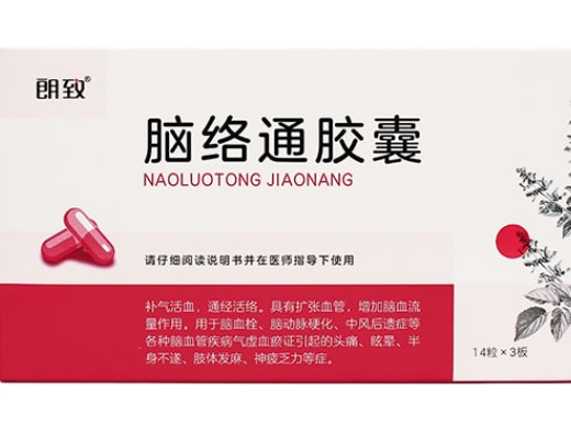 朗致脑络通胶囊招商代理 42粒