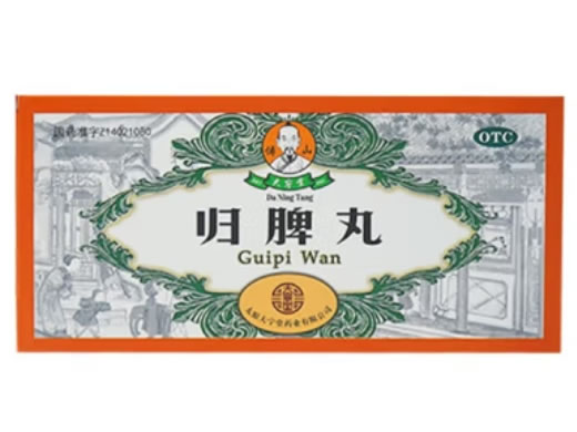 傅山/大宁堂归脾丸招商代理 