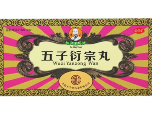 傅山/大宁堂五子衍宗丸招商代理 