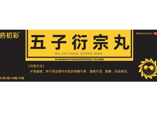 药初彩五子衍宗丸招商代理 42g*10瓶 药初彩