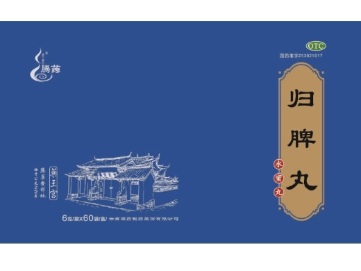 腾药归脾丸招商代理 60袋 水蜜丸