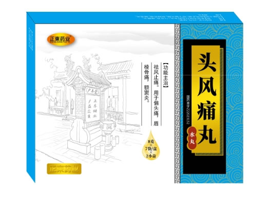 正東药业/正东药业头风痛丸招商代理 2小盒