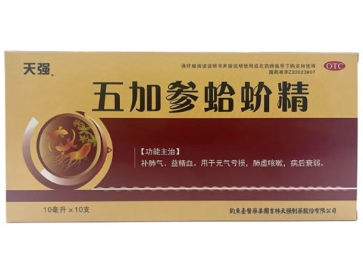 天强五加参蛤蚧精招商代理 10支