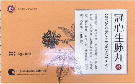 冠心生脉丸招商代理 6g*10袋 山东华洋制药