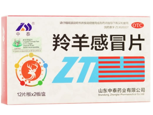 羚羊感冒片招商代理 24片 中泰药业