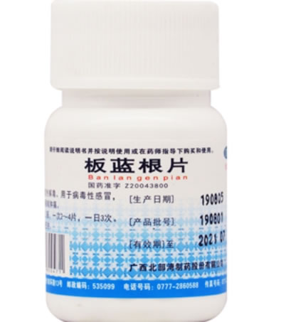 红树板蓝根片招商代理 100片