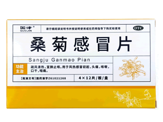 国津桑菊感冒片招商代理 48片