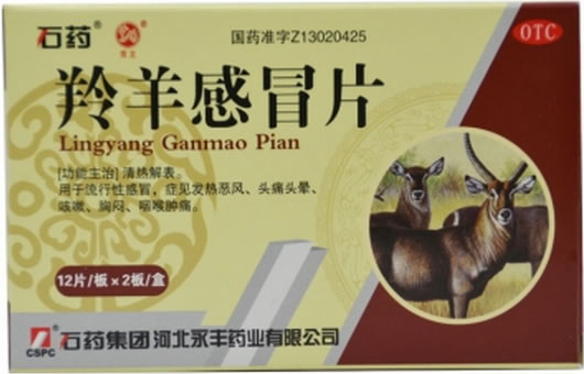 羚羊感冒片招商代理 0.3g*24片 河北永丰制药