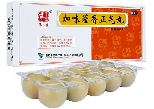 冯了性加味藿香正气丸招商代理 10丸 冯了性(佛山)药业