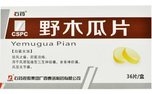 石药野木瓜片招商代理 36片 泰诺制药