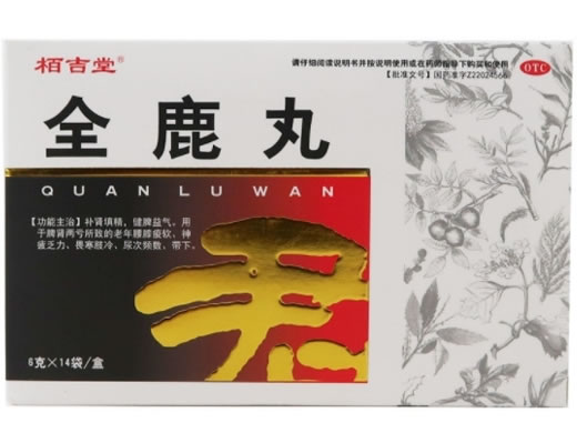 栢吉堂全鹿丸招商代理 14袋 力胜制药