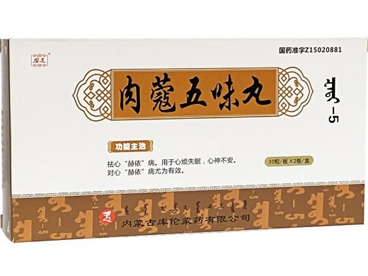 安友肉蔻五味丸招商代理 60丸 安友