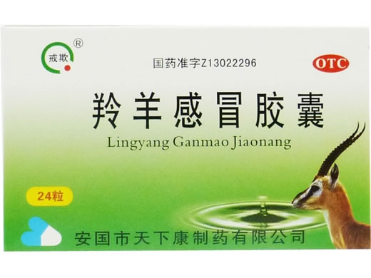戒欺羚羊感冒胶囊招商代理 24粒 天下康制药