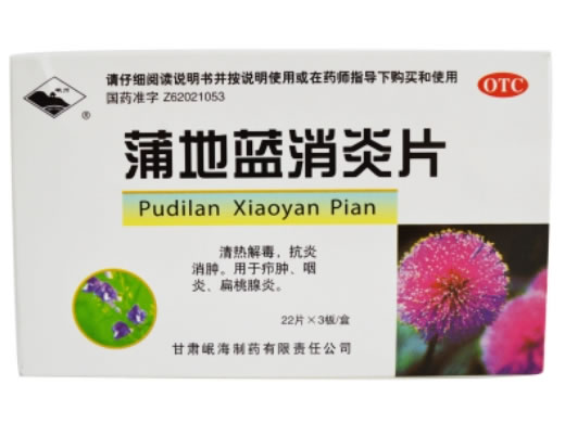 岷州蒲地蓝消炎片招商代理 66片 岷海