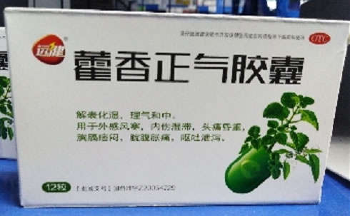 远健藿香正气胶囊招商代理 12粒