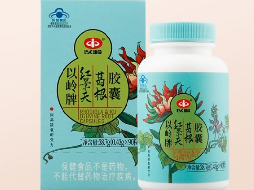 以岭牌红景天葛根胶囊招商代理 