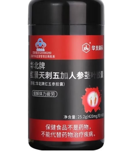 华北制药华北牌红景天刺五加人参茎叶胶囊招商代理 
