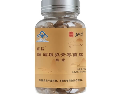 正信R蝙蝠蛾拟青霉菌丝胶囊