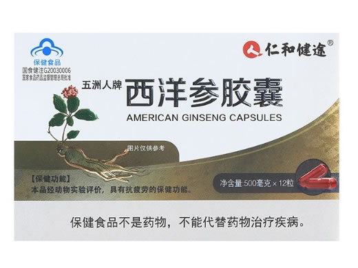 仁和健途五洲人牌西洋参胶囊招商代理 