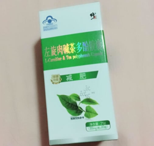 左旋肉碱茶多酚胶囊