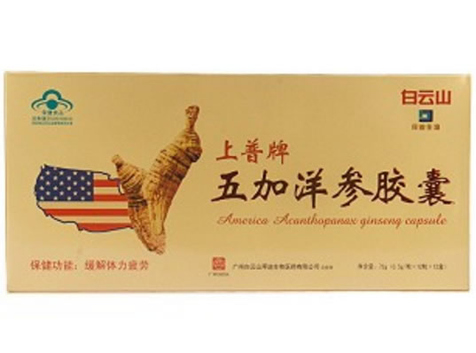 白云山上普牌五加洋参胶囊招商代理 12盒