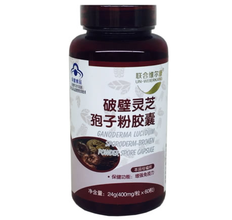 联合维尔康破壁灵芝孢子粉胶囊招商代理 60粒