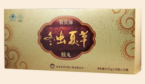 智灵牌冬虫夏草胶丸