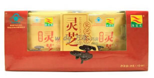 康富来牌灵芝袋泡茶招商代理 1g*20袋