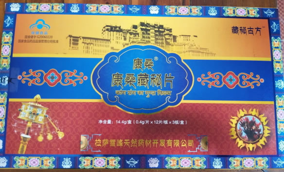 康桑R康桑藏秘片