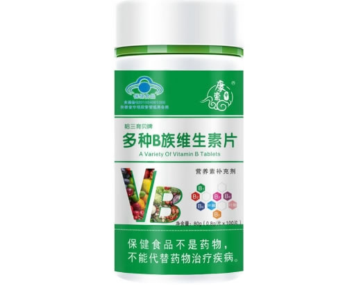哈三育贝牌多种B族维生素片