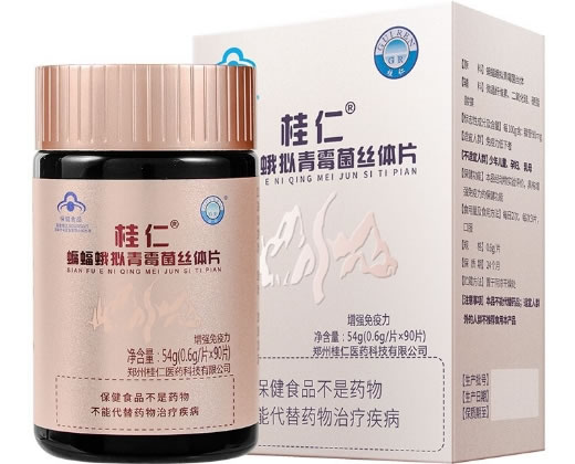 桂仁R蝙蝠蛾拟青霉菌丝体片