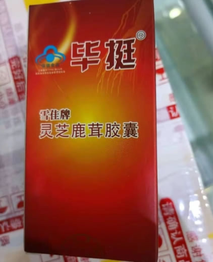 毕挺雪佳牌灵芝鹿茸胶囊招商代理 40粒