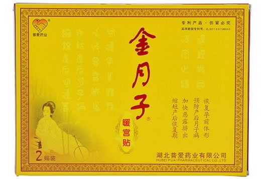 金月子暖宫贴招商代理 2贴装 湖北普爱药业
