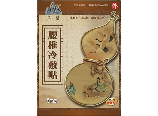 三楚腰椎冷敷贴招商代理 I型4号