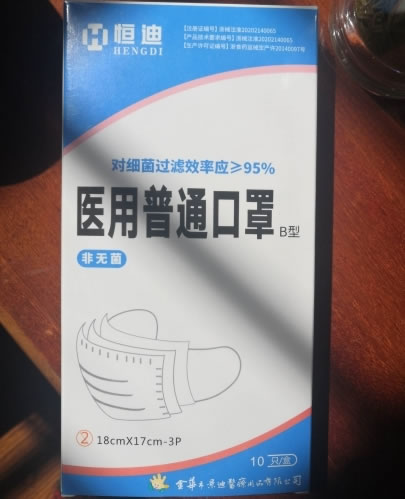 恒迪医用普通口罩招商代理 10只 B型
