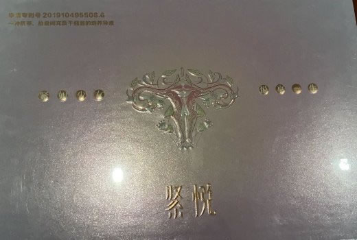 紧悦液体敷料招商代理 6支