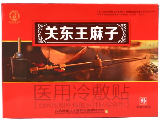 关东王麻子医用冷敷贴招商代理 5贴