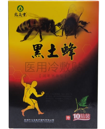 宛灸堂/黑土蜂医用冷敷贴招商代理 10贴